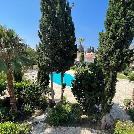 Natalia's 1 Bedroom Apartemnt *